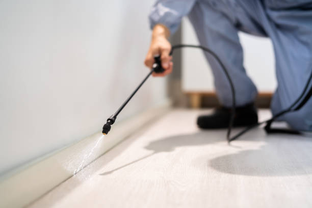Licensed Termite Control service in Oakdale, PA - Nex Pest Control