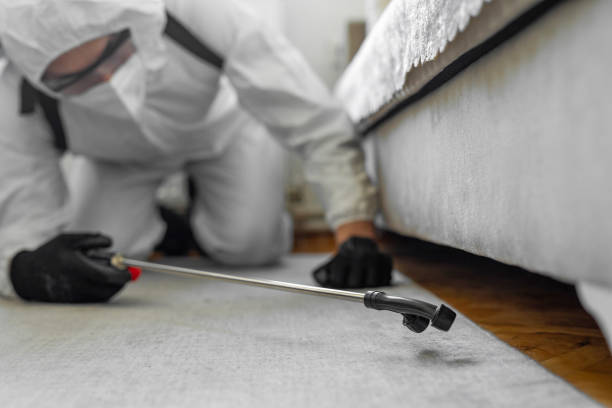 Professional Termite Control technician working in Oakdale, PA
