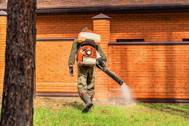 Trusted Termite Control service in Oakdale, PA - Nex Pest Control